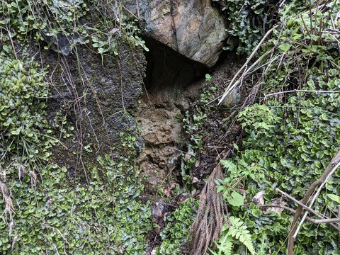 PXL_20240426_054820577