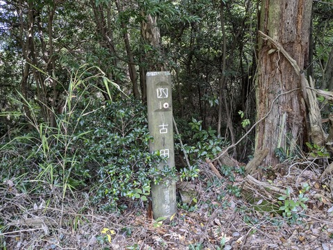 PXL_20241106_050646776.MP