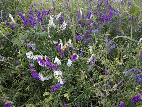 PXL_20250526_202050521