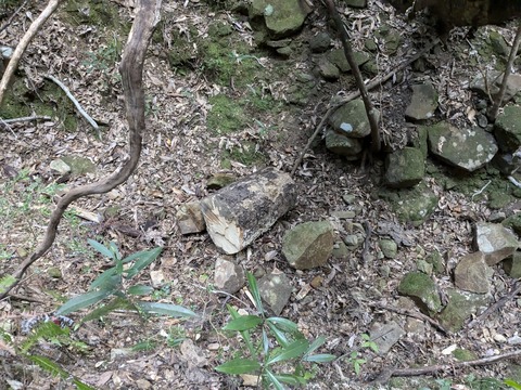 PXL_20241120_223552859