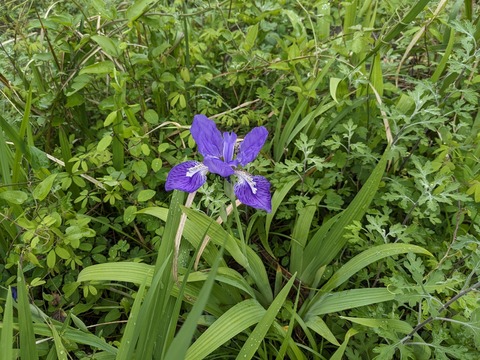 PXL_20240424_020625570