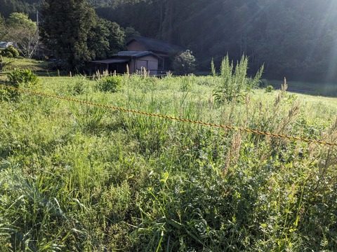 PXL_20240424_230208213