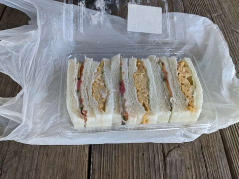 PXL_20240329_035650253