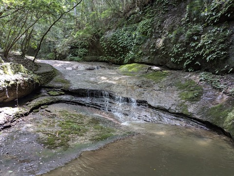 PXL_20240723_031139053