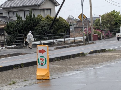 PXL_20250428_002739926