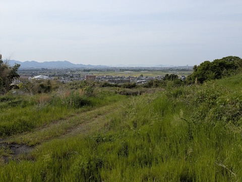 PXL_20250430_065330086