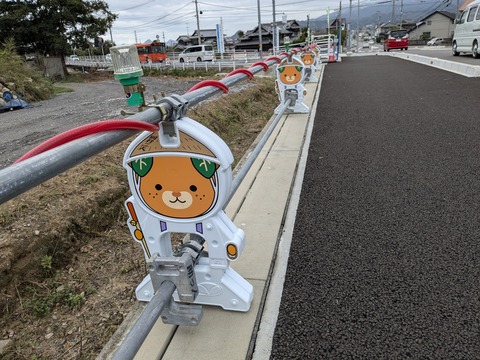 PXL_20241023_050553644