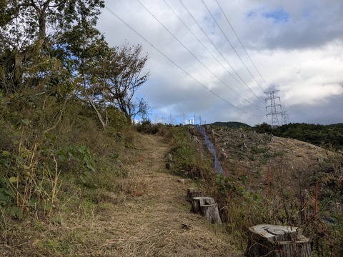 PXL_20251102_232130630