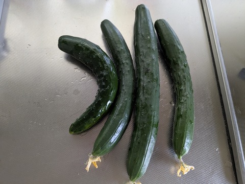 PXL_20250622_000545993