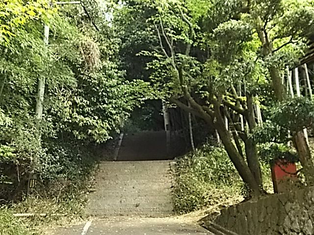 イメージ 54