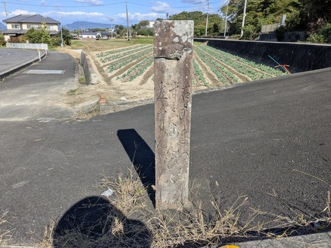 PXL_20251103_043337771