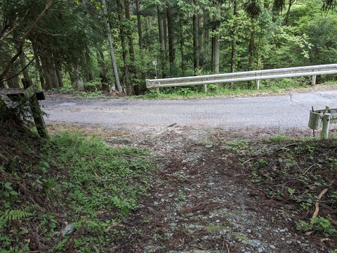 PXL_20240426_061348124