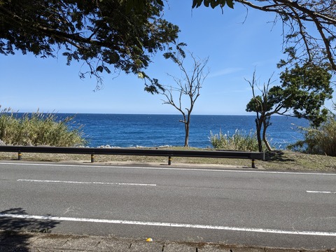 PXL_20240327_035543064