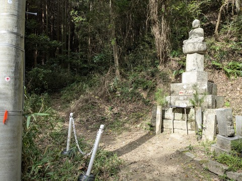 PXL_20251112_035803769