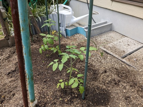 PXL_20240505_051717018