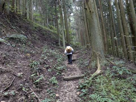 PXL_20241022_003018087