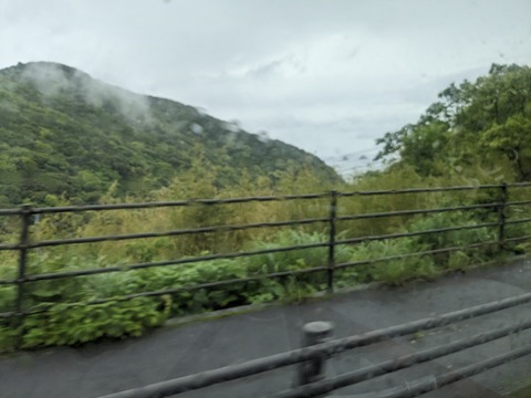 PXL_20240423_015025976