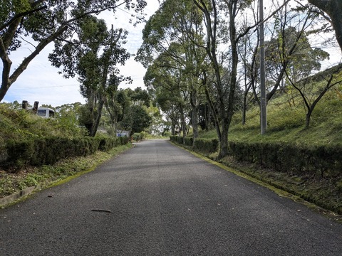 PXL_20241024_004432227