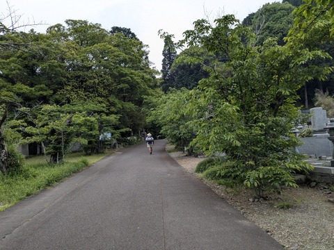 PXL_20250501_004446767