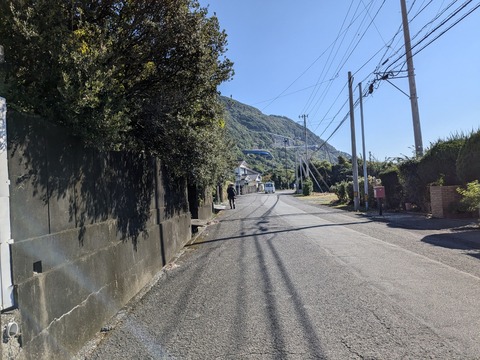 PXL_20241122_033526141