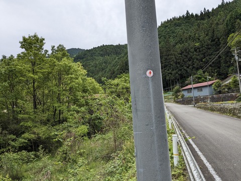 PXL_20240426_003833592