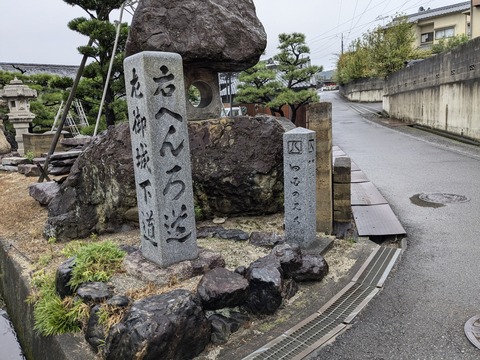 PXL_20241022_222426866