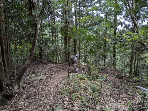 PXL_20241021_235921523