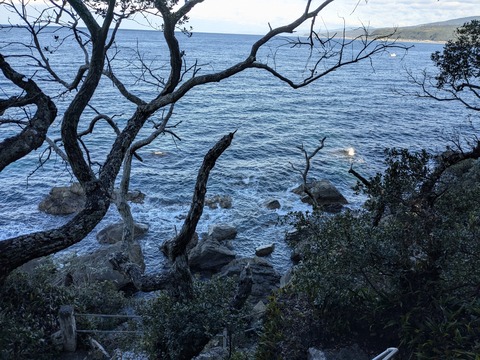 PXL_20241122_232413117