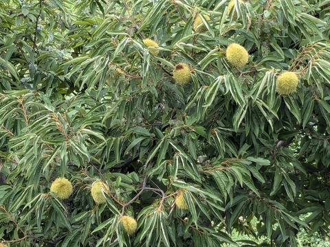 PXL_20240922_015114498