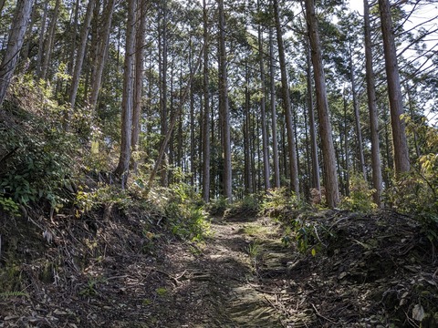 PXL_20240425_002655842