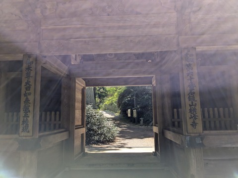 PXL_20250430_014104746