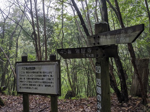 PXL_20240426_235541984