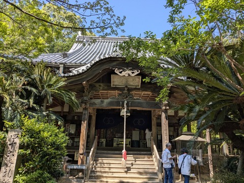 PXL_20250426_005817642