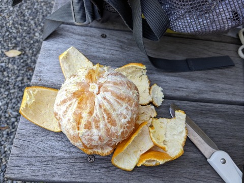 PXL_20240327_052024176