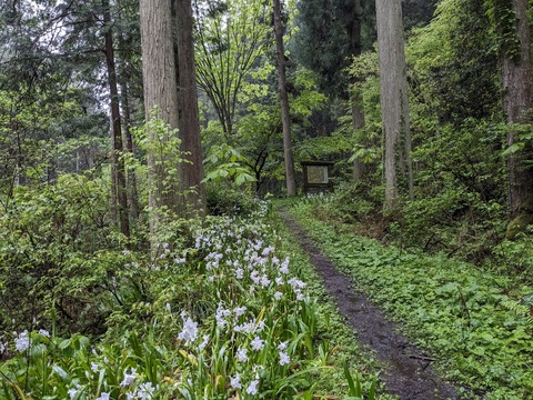 PXL_20240426_232639967.MP