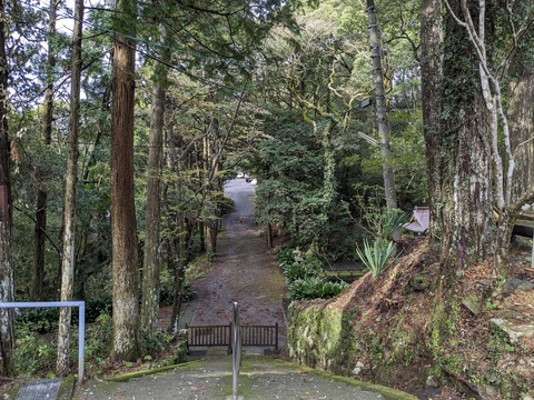 PXL_20240328_231548252