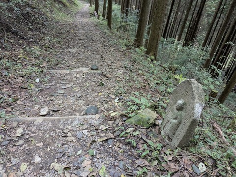 PXL_20251103_012549902