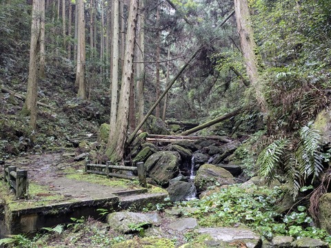 PXL_20241026_001047738