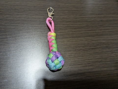 PXL_20241109_203523137