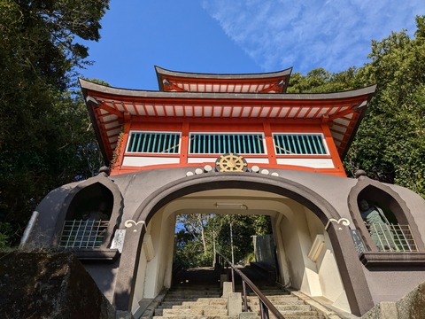 PXL_20241122_050703464