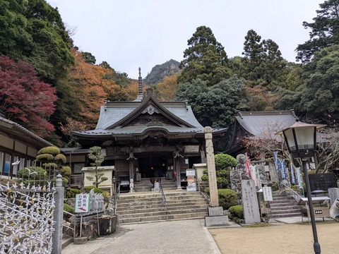 PXL_20251113_070700513