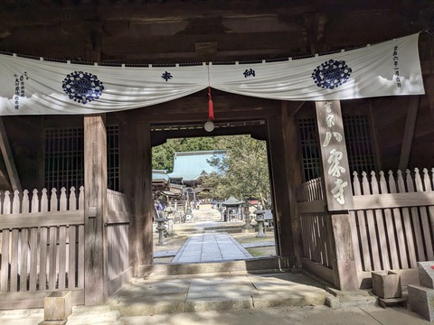 PXL_20241108_043923751