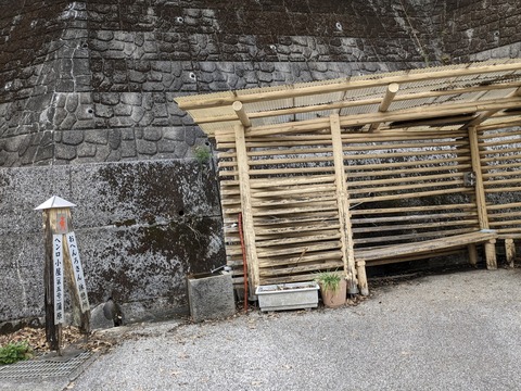 PXL_20240331_061209964