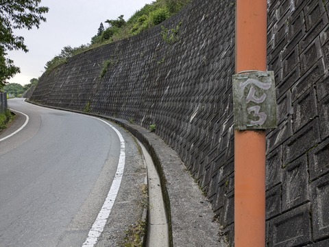 PXL_20240425_212952764