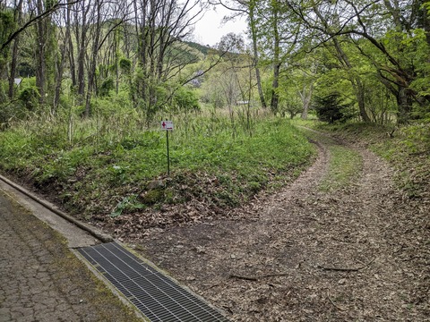 PXL_20240426_050734417