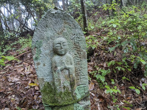 PXL_20240427_002200134