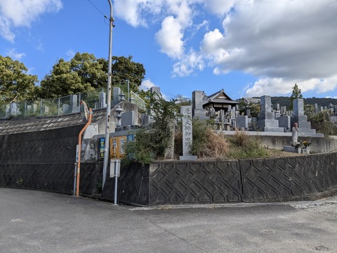 PXL_20241106_030934523