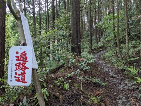 PXL_20240424_010627591