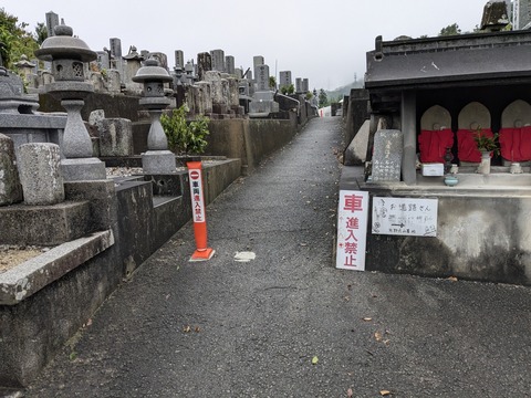 PXL_20241022_222539857