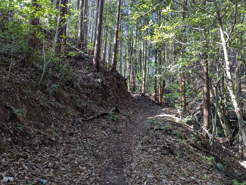 PXL_20250428_232057092